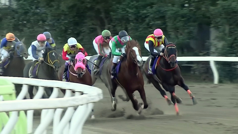 コラボ動画「JRA×地方競馬 ALL JAPAN KEIBA 年末篇」より。