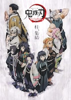 「『鬼滅の刃』〈柱合会議・蝶屋敷編〉」キービジュアル (c)吾峠呼世晴／集英社・アニプレックス・ufotable