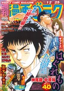 週刊漫画ゴラク12月25日号