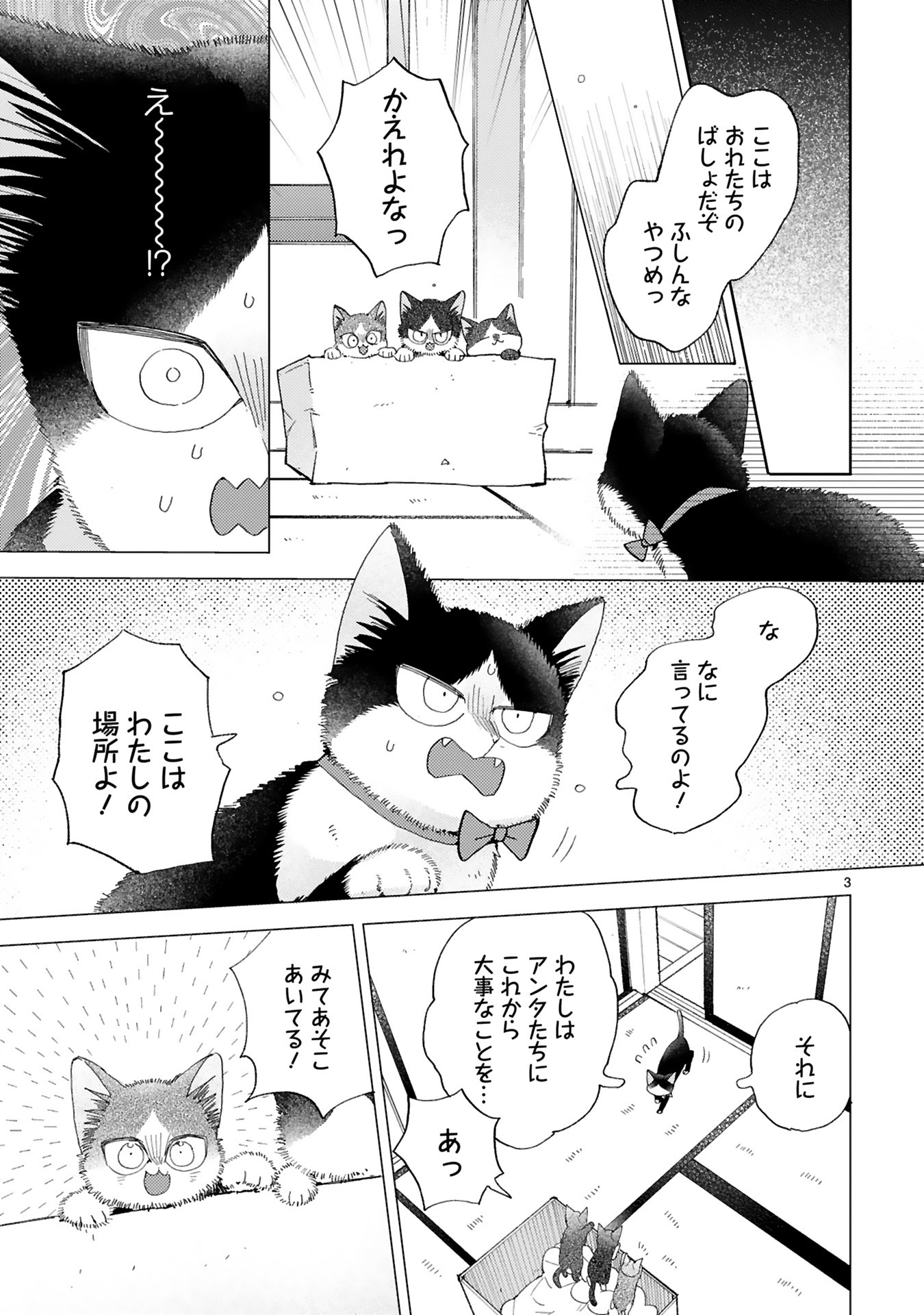 「同居人はひざ、時々、頭のうえ。」より。