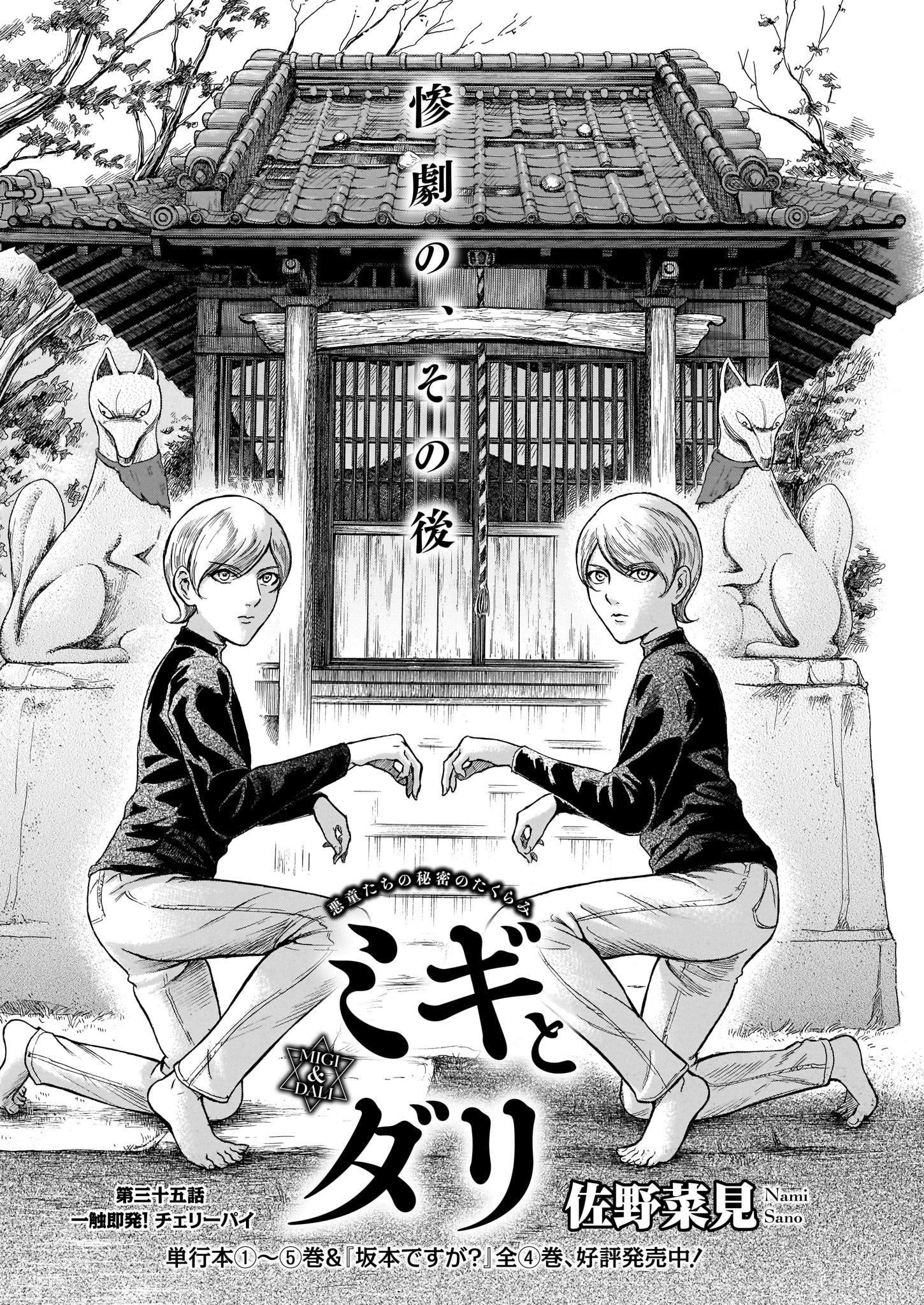 佐野菜見「ミギとダリ」