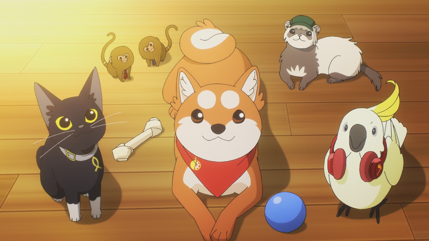 「アニマルセラトピア アニメーションVer.ティザームービー『Welcome to Wonder night!』」より。