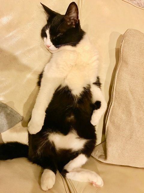 ラン
