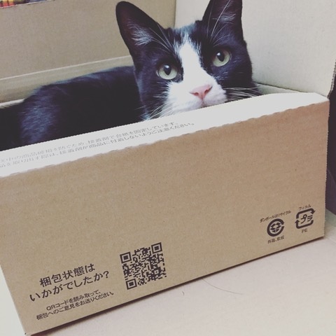 ラン