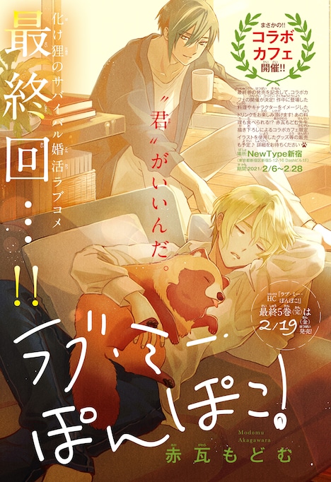 「ラブ・ミー・ぽんぽこ！」最終回ページ