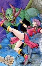 「ドラゴンクエスト ダイの大冒険 新装彩録版」9巻のカバーイラスト。(c)三条陸、稲田浩司／集英社 (c)SQUARE ENIX CO., LTD.