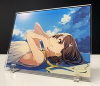 限定版に付属する描き下ろしアクリルパネル。