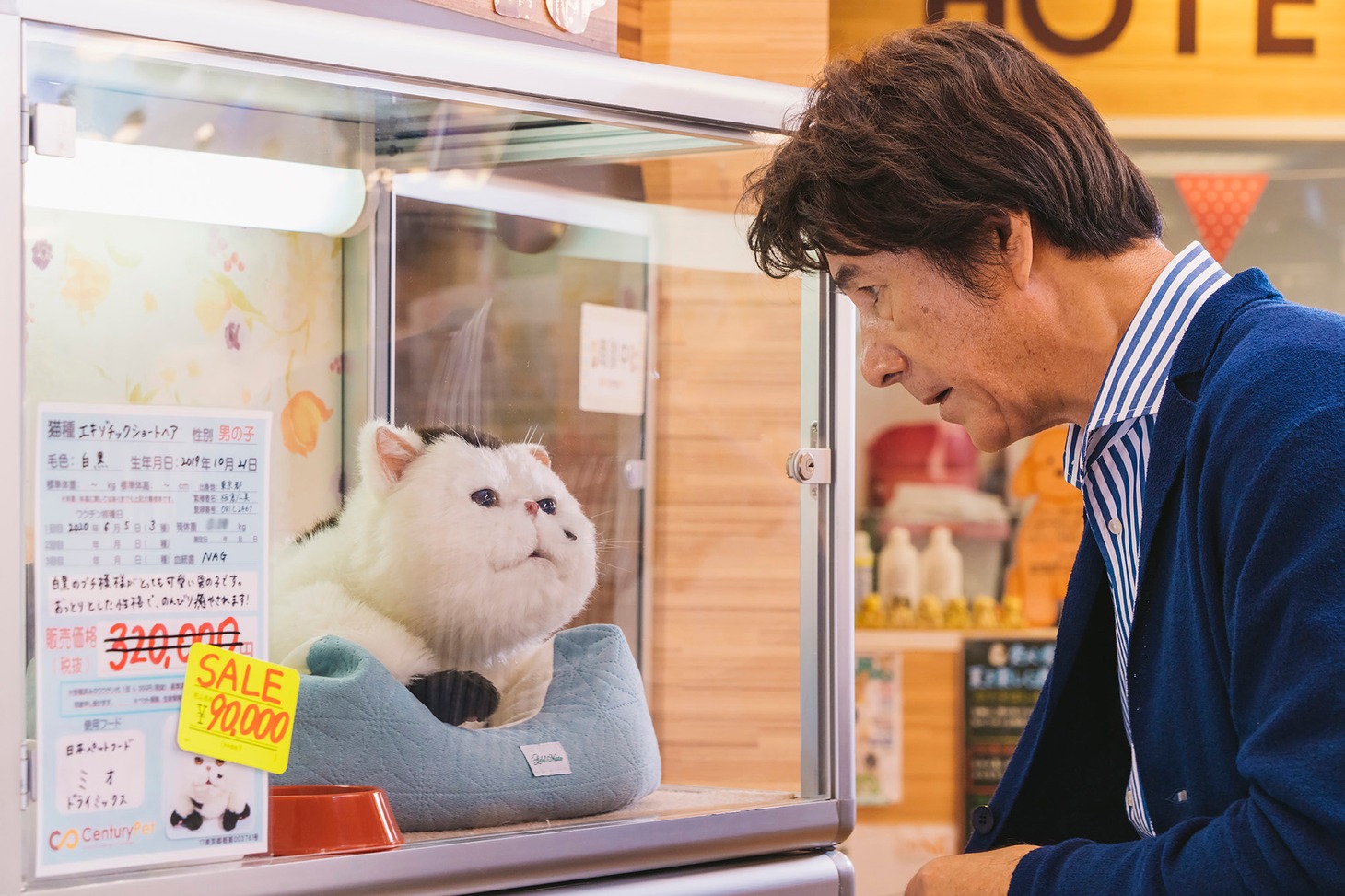 ドラマ「おじさまと猫」第1話場面写真