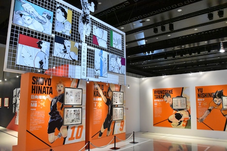 「連載完結記念 ハイキュー!!展」東京会場の様子。