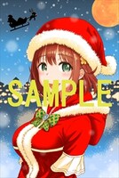 ゲーマーズ特典