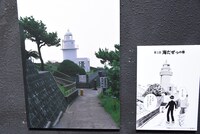 執筆のための資料写真が並ぶコーナー。