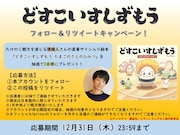 濱健人のサイン入り絵本プレゼントキャンペーンについて。