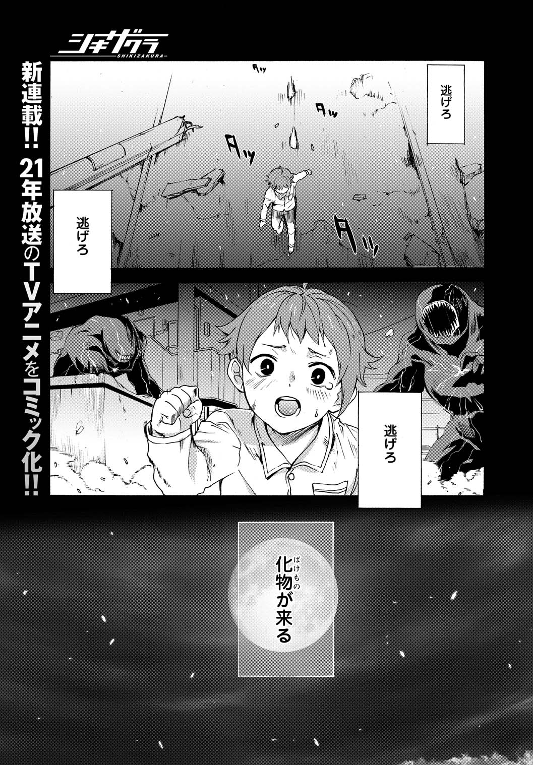 「シキザクラ」より。