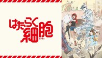 アニメ「はたらく細胞」バナー (c)清水茜／講談社・アニプレックス・davidproduction