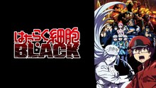 アニメ「はたらく細胞BLACK」バナー
(c)原田重光・初嘉屋一生・清水茜／講談社・CODE BLACK PROJECT