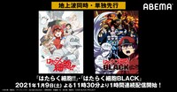 「はたらく細胞!!」「はたらく細胞BLACK」ABEMA配信情報。(c)清水茜／講談社・アニプレックス・davidproduction
(c)原田重光・初嘉屋一生・清水茜／講談社・CODE BLACK PROJECT