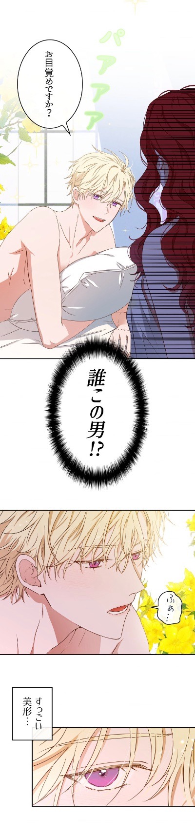 「逆ハーレムゲームの中に落ちたようです」より。