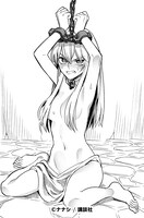 ナナシからの「姫騎士は蛮族の嫁」応援イラスト。