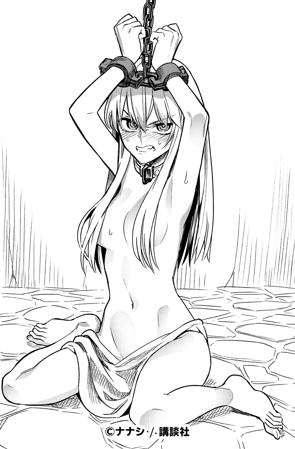 ナナシからの「姫騎士は蛮族の嫁」応援イラスト。
