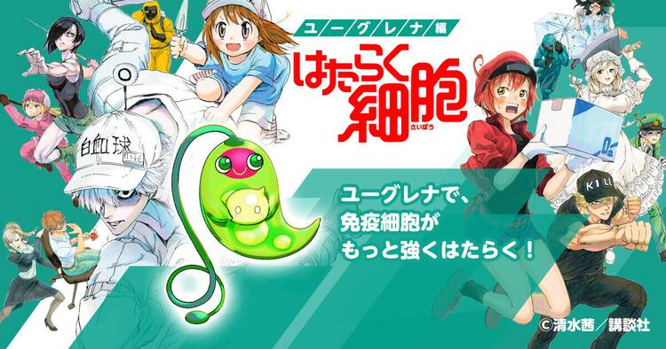 はたらく細胞 とユーグレナのコラボ動画公開 ユーグレナさん 役は釘宮理恵 動画あり コミックナタリー
