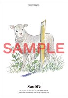 ポストカードのサンプル。