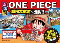 「るるぶ ONE PIECE」の紹介画像。