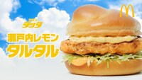 「チキンタツタ『迷うって、青春だ。』篇」の15秒バージョンより。