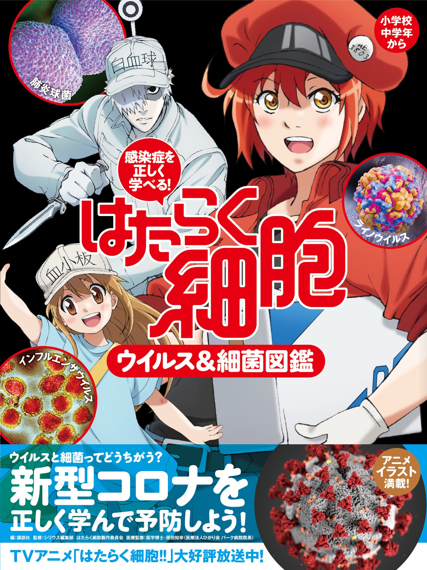 「感染症を正しく学べる！ はたらく細胞 ウイルス＆細菌図鑑」