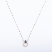 アメリカモデル