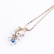 フランスモデル