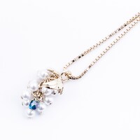 フランスモデル