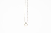 アメリカモデル