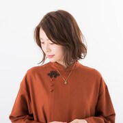 中国モデルの使用イメージ。