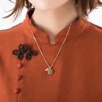 中国モデルの使用イメージ。