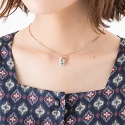 フランスモデルの使用イメージ。