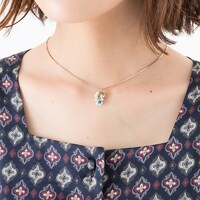 フランスモデルの使用イメージ。