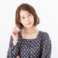 フランスモデルの使用イメージ。