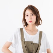 アメリカモデルの使用イメージ。