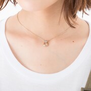 アメリカモデルの使用イメージ。