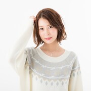 ロシアモデルの使用イメージ。