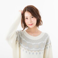 ロシアモデルの使用イメージ。