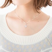 ロシアモデルの使用イメージ。