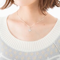 ロシアモデルの使用イメージ。