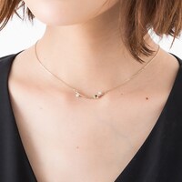 日本モデルの使用イメージ。