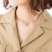 イタリアモデルの使用イメージ。