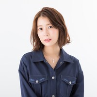 ドイツモデルの使用イメージ。