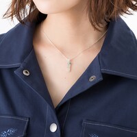 ドイツモデルの使用イメージ。