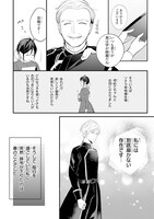 「姫様、無理です！～今をときめく宰相補佐様と関係をもつなんて～」より。