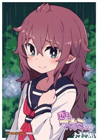 ゲーマーズ特典