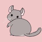 「ざんねんないきもの事典」新作に植物たちのエピソード、1月31日から順次放送